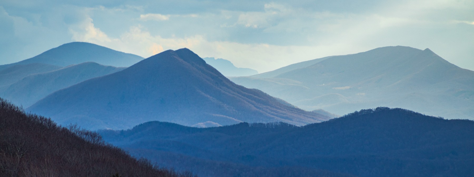 Thomas "Tom" Whitaker header